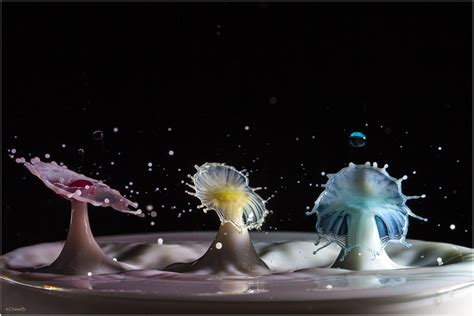 what is the rule of odds|The Rule of Odds in Photography Composition.
